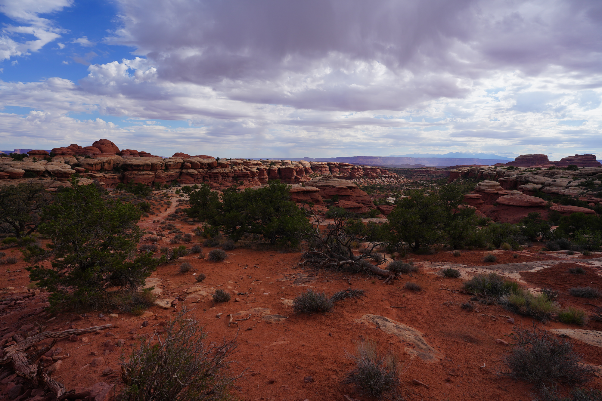 Canyon landscape — Canyonlands NP, Needles District