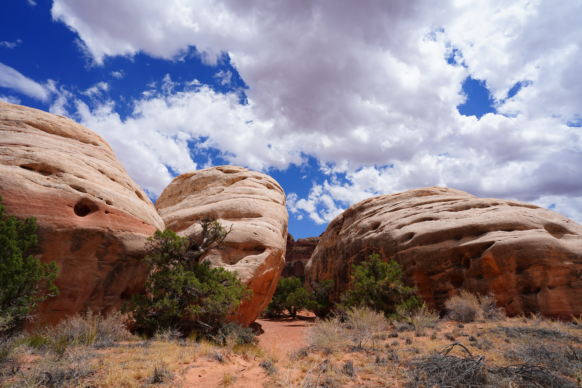 Rock formations — Canyonlands NP, Needles District
