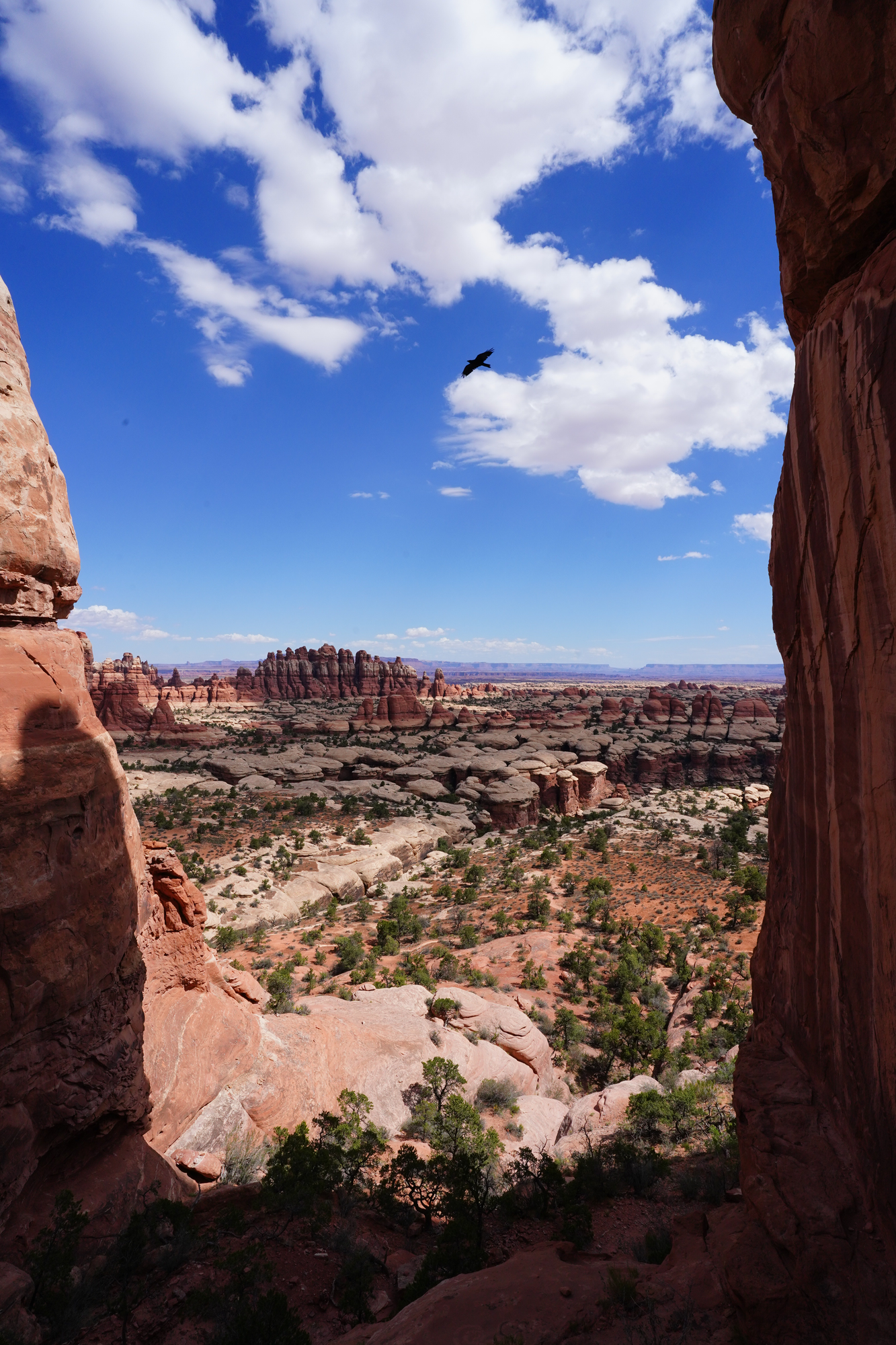 Canyon spires — Canyonlands NP, Needles District