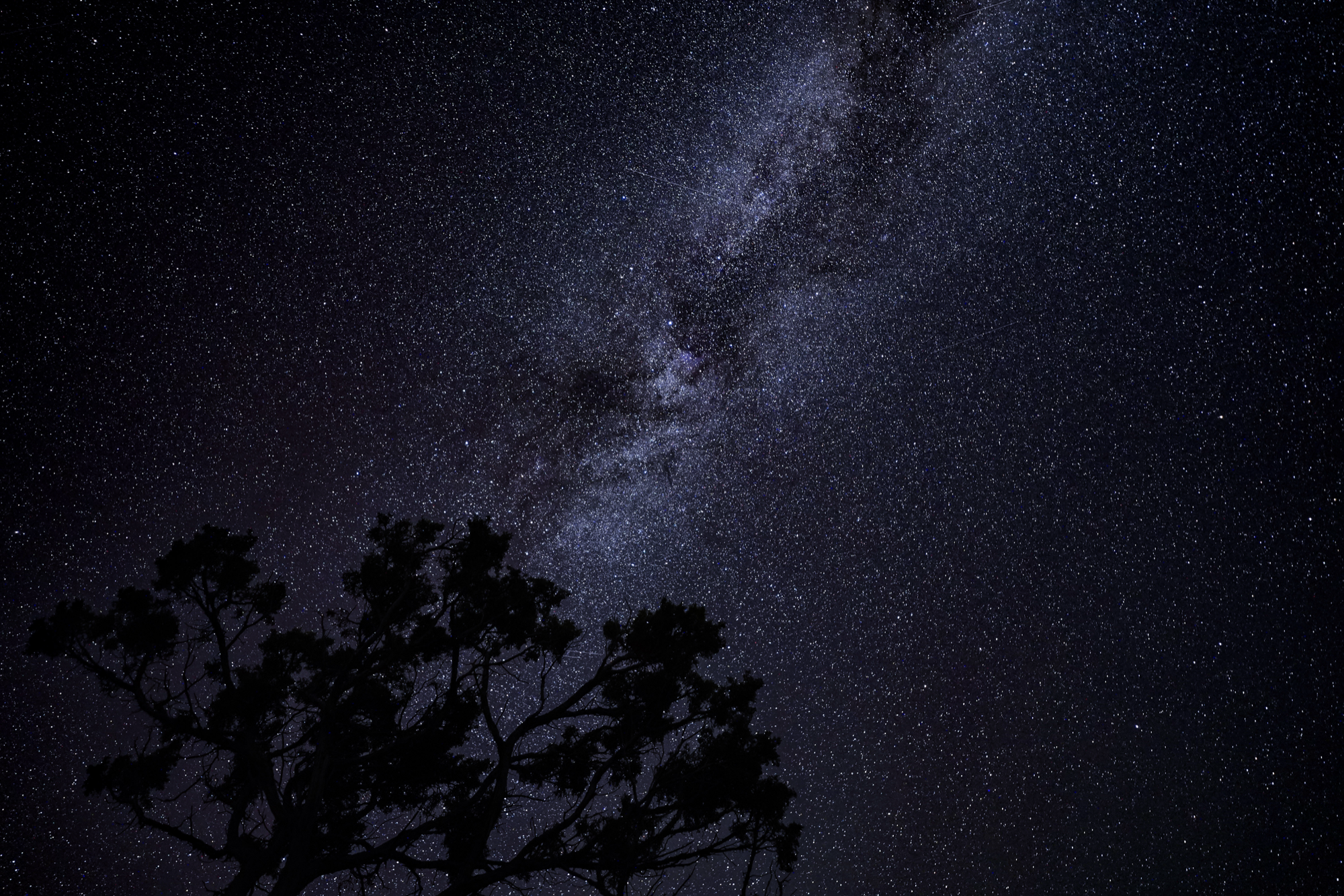 Stars — Black Canyon of the Gunnison