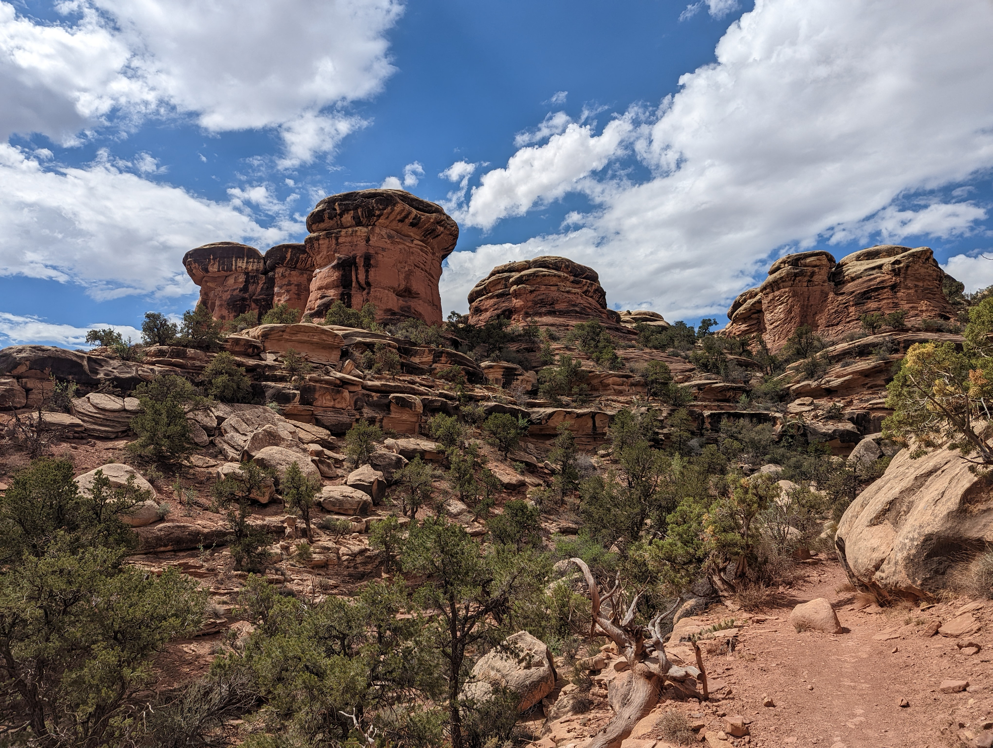 Canyon overlook — Canyonlands NP, Needles District