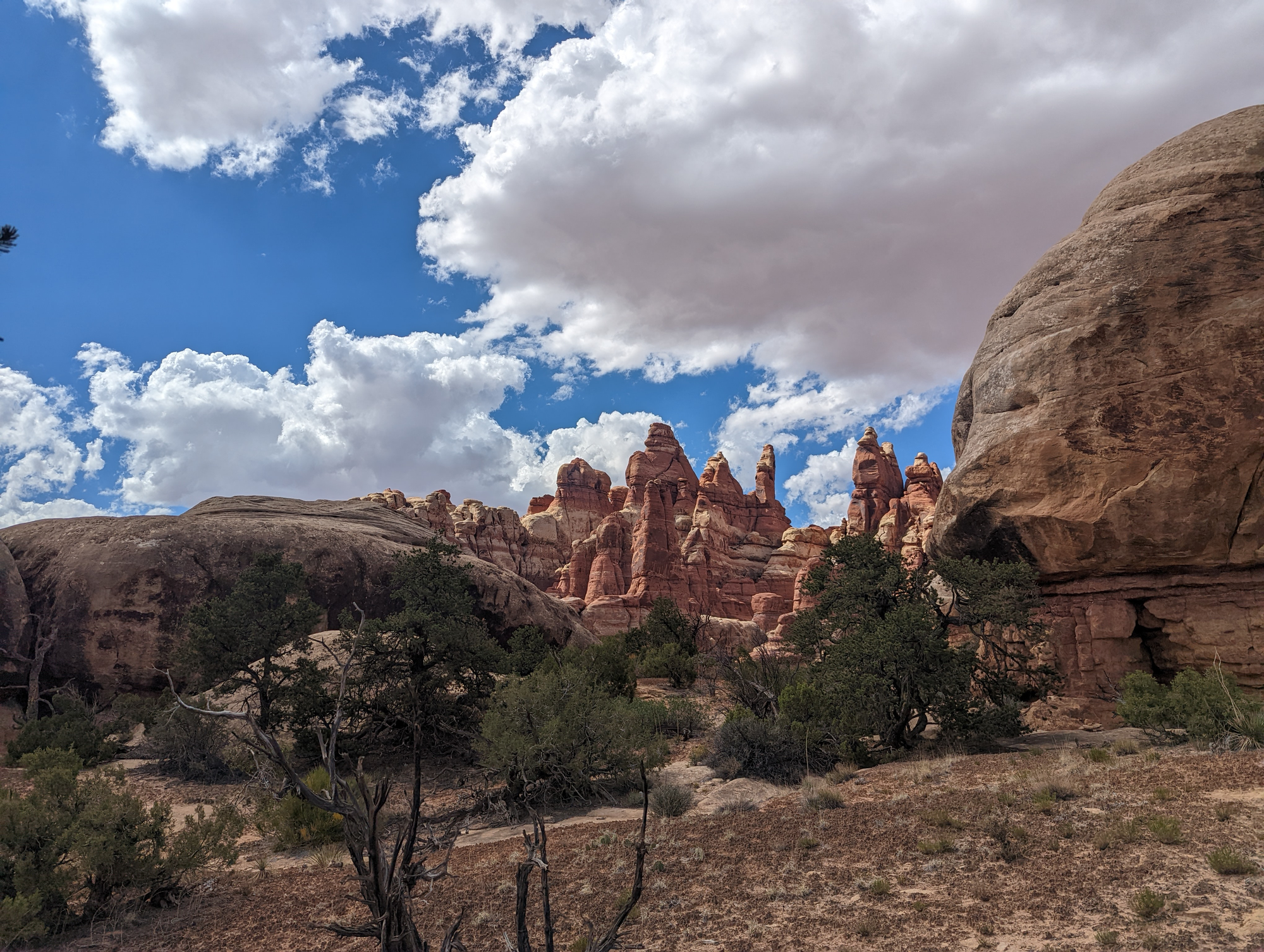 Red rock terrain — Canyonlands NP, Needles District