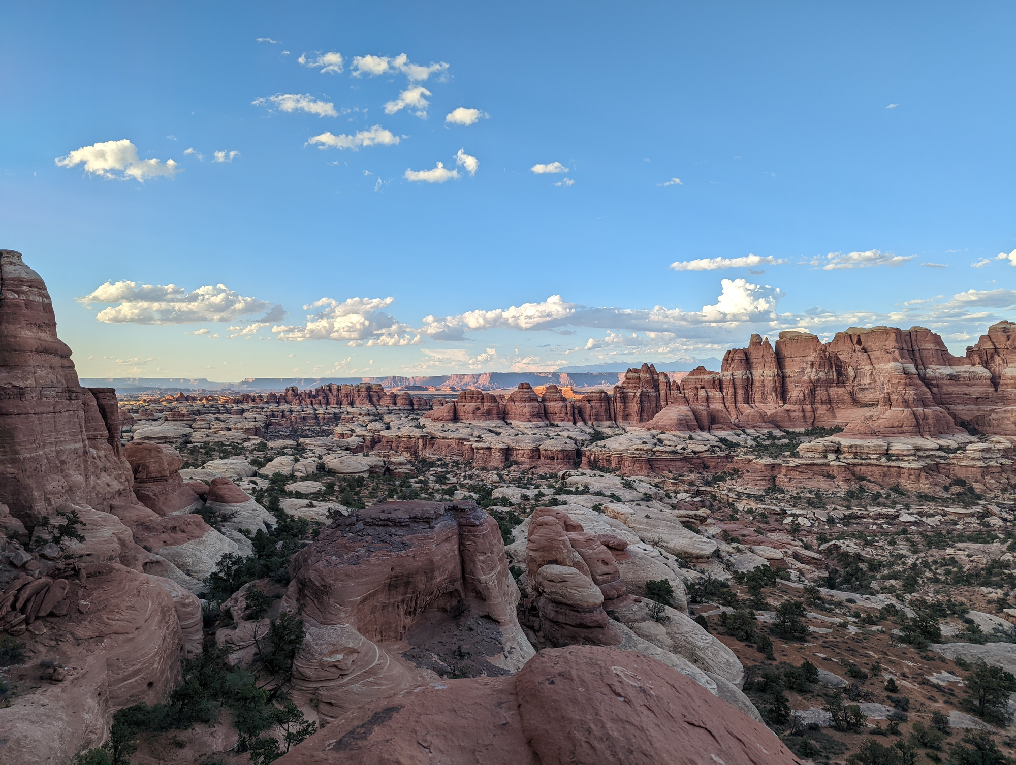 Canyon vista — Canyonlands NP, Needles District